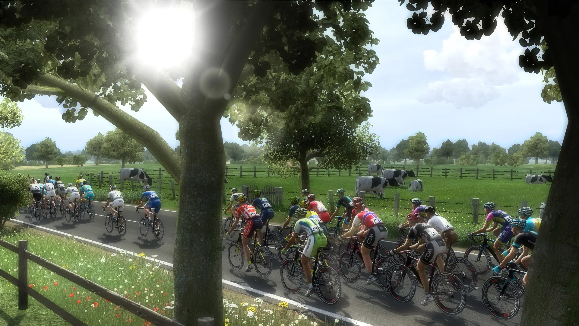 Pro Cycling Manager 2014: скриншот 7