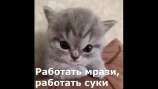 j4mb4z1rusya555map3