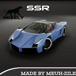 2017 REBELT SSR
