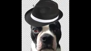 czdutyrice 02