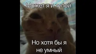 j4mb4z1rusya555map2
