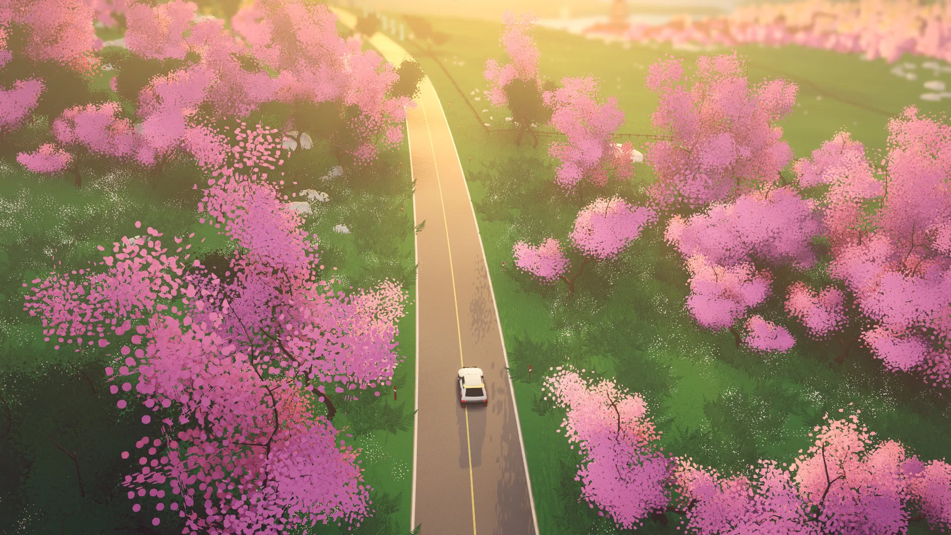 art of rally: скриншот 5