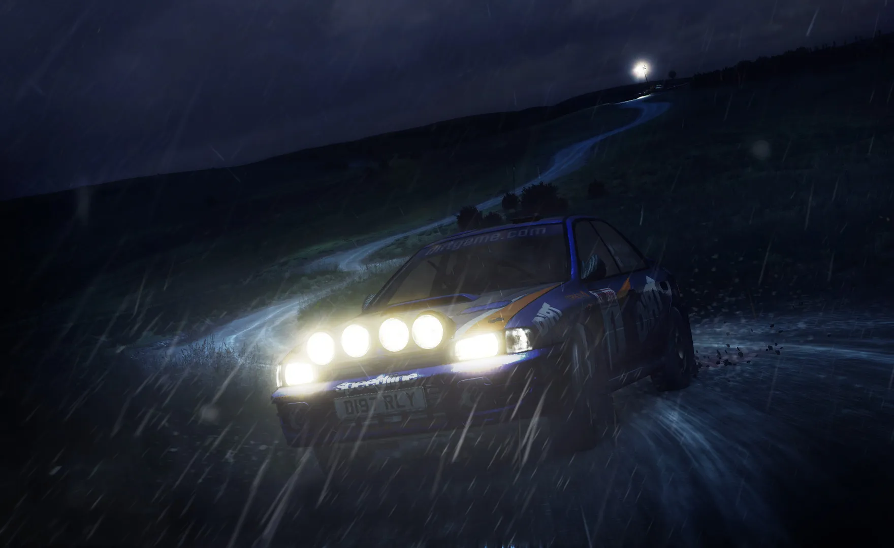 DiRT Rally: скриншот 8