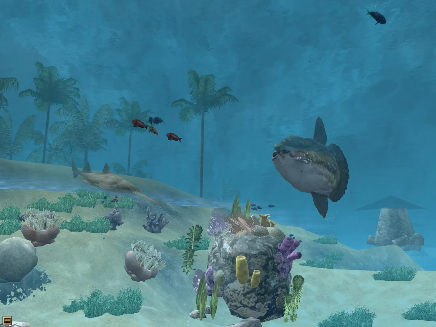 Wildlife Park 2 - Marine World: скриншот 4