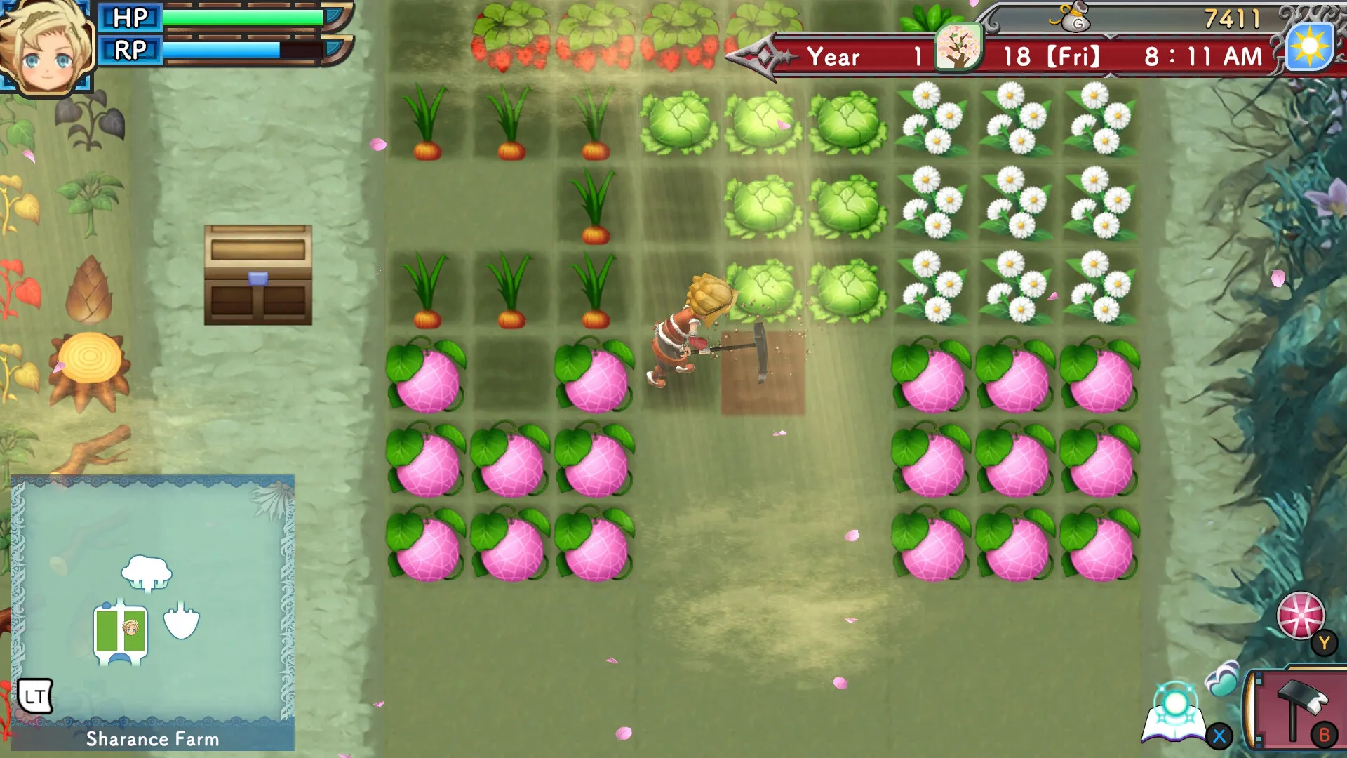 Rune Factory 3 Special: скриншот 5