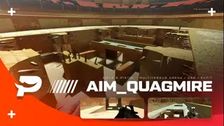 aim_quagmire