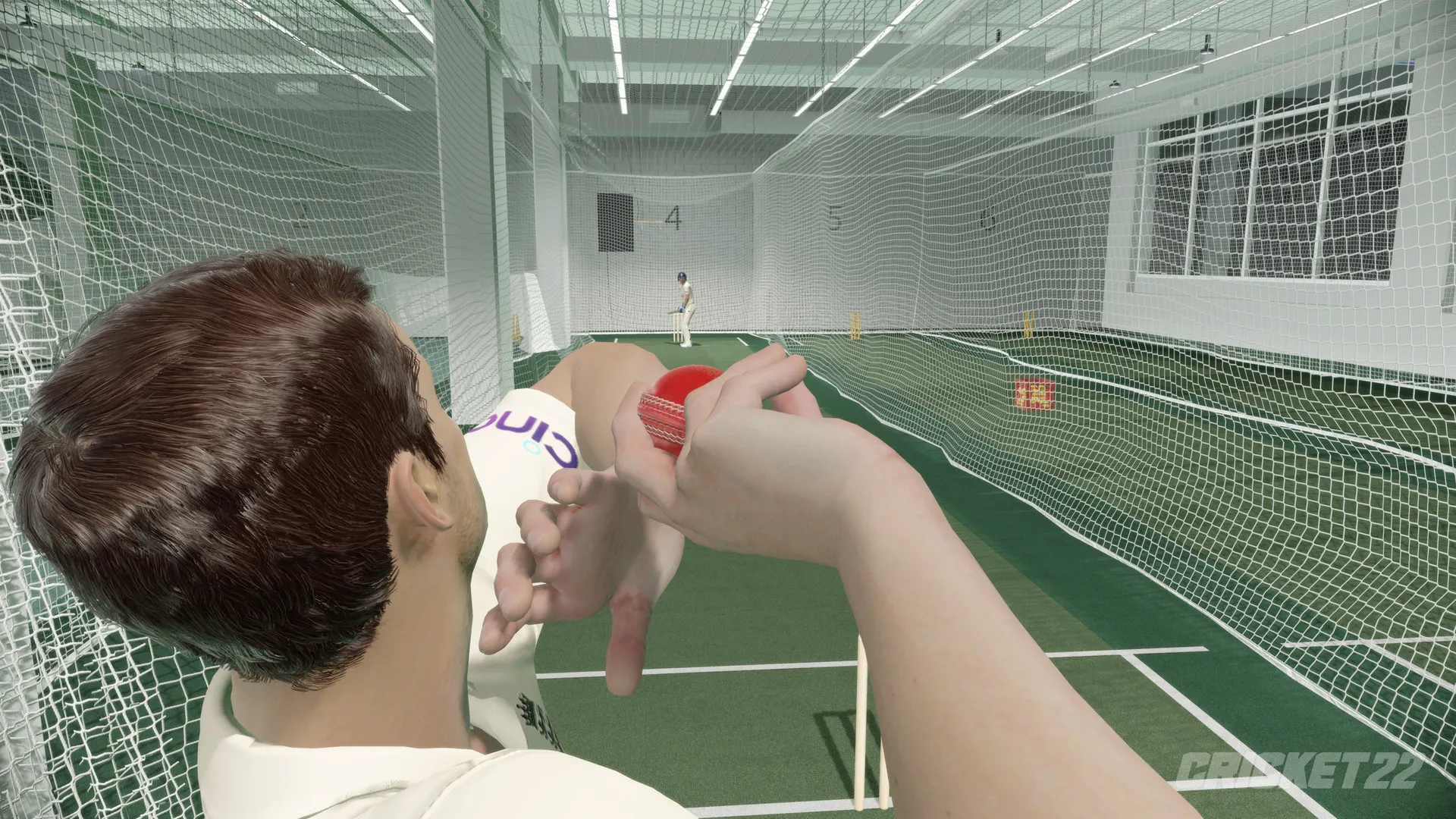 Cricket 22: скриншот 1