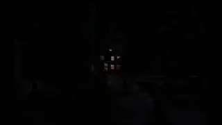 cs_forest [night] - V2