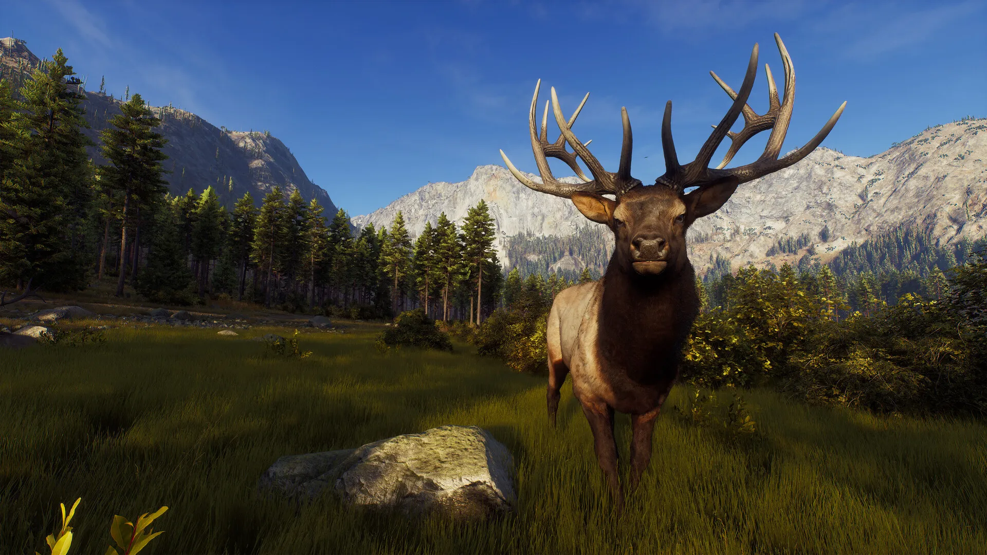 Way of the Hunter: скриншот 1
