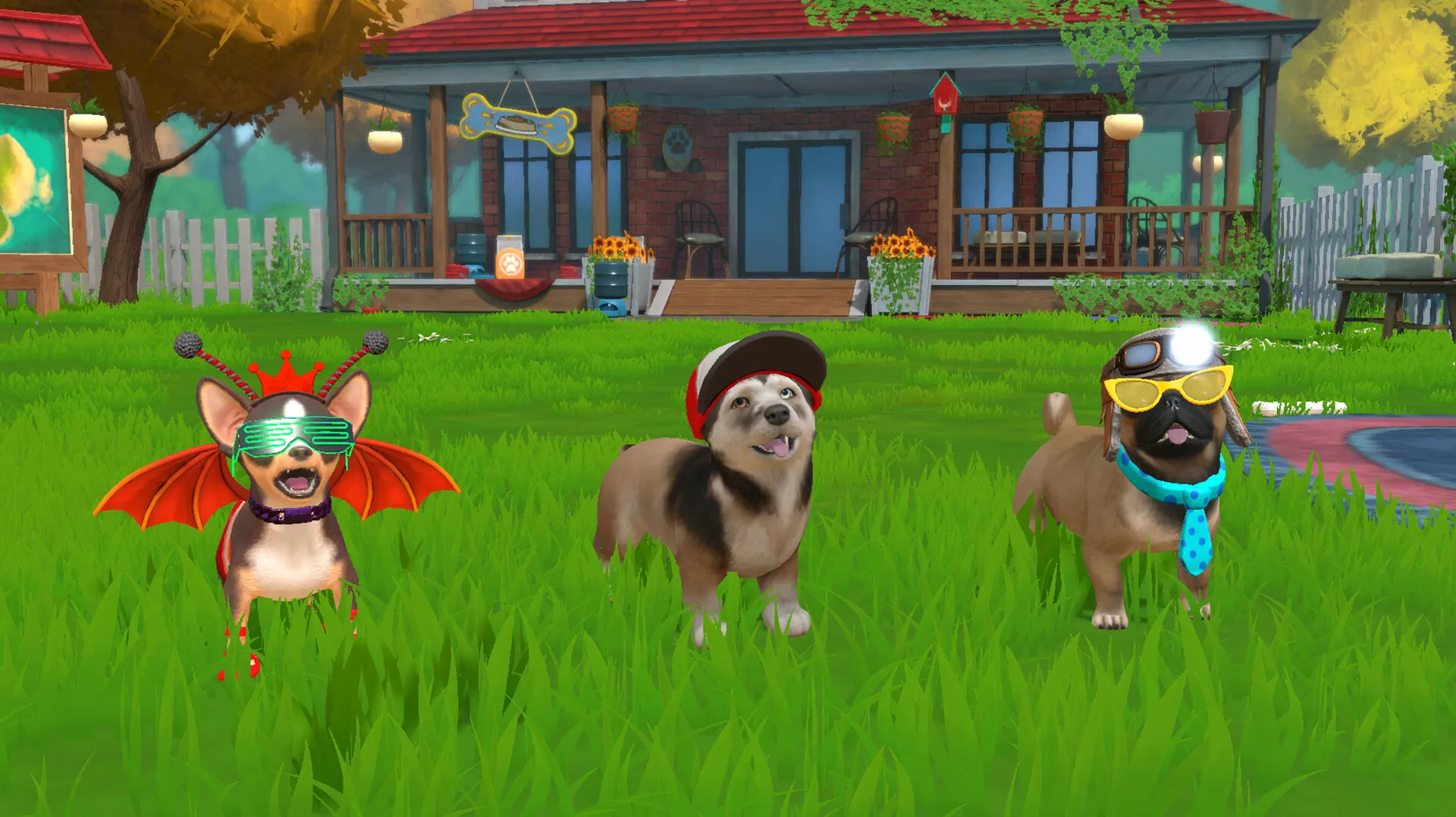 Little Friends: Puppy Island: скриншот 7