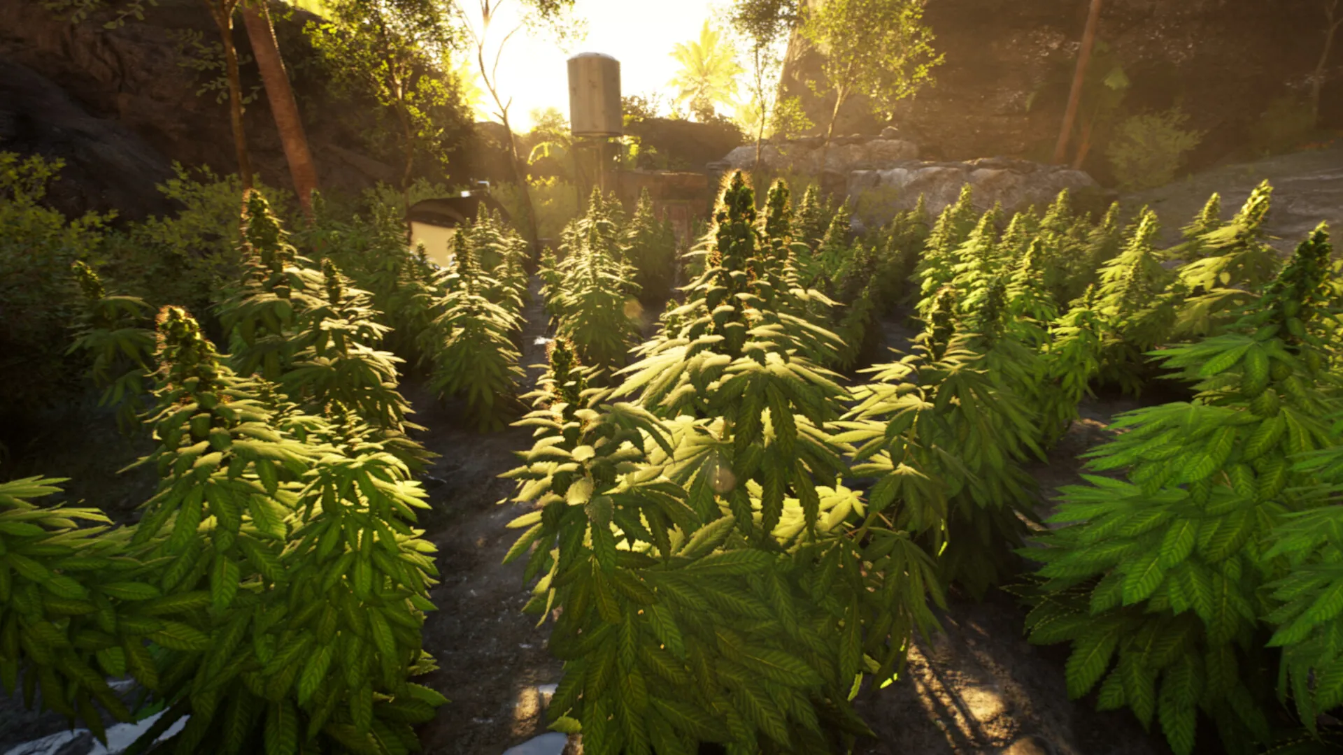 Weed Shop 4: Highland: скриншот 4