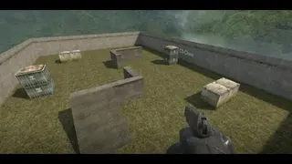 am_grass2