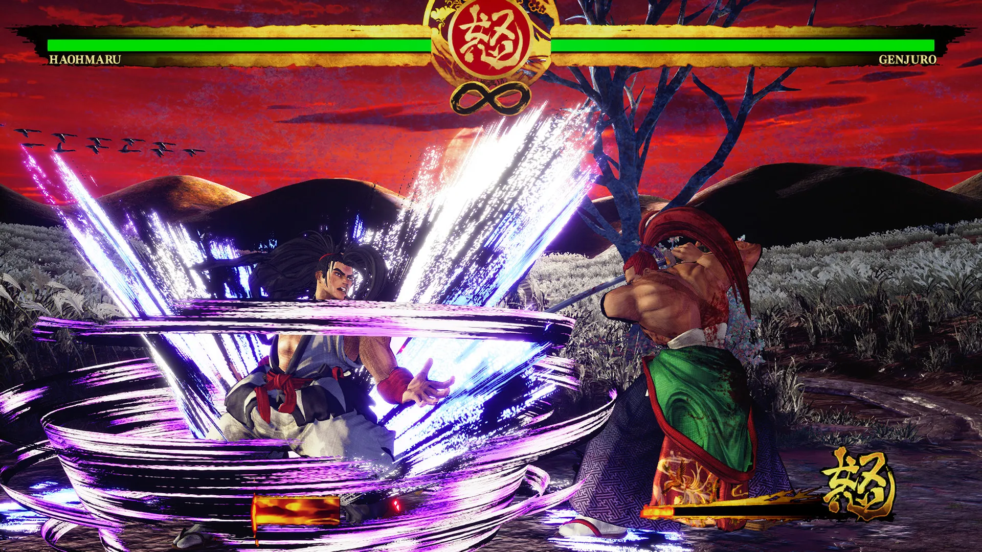 SAMURAI SHODOWN: скриншот 3