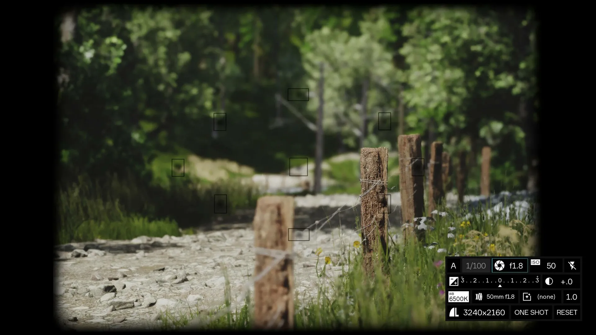 Lushfoil Photography Sim: скриншот 4