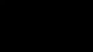 BASEMENT | SERVER CONTENT
