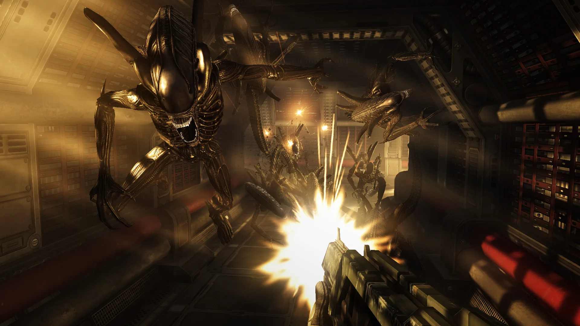 Aliens vs. Predator™: скриншот 3