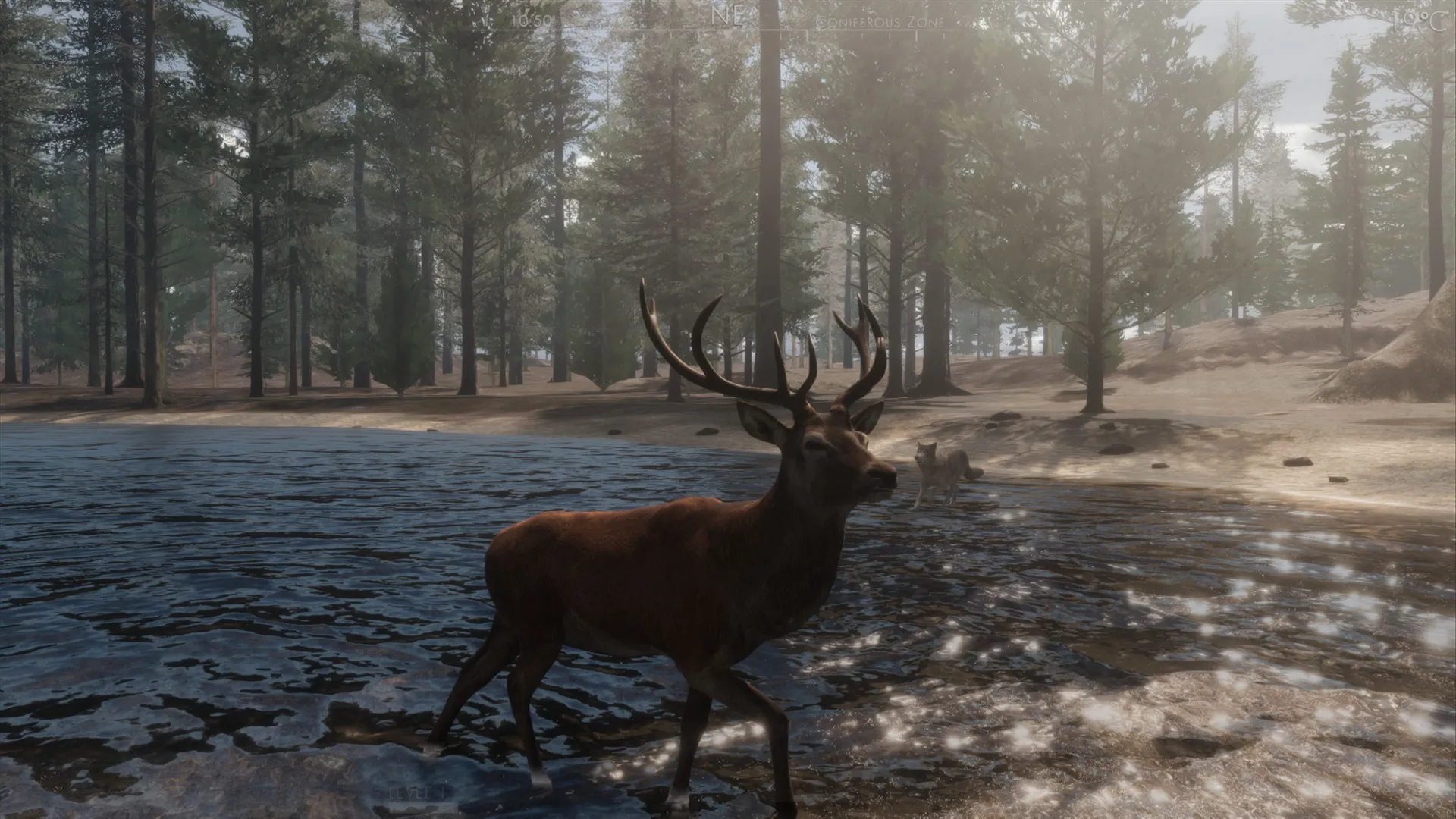 The WILDS: скриншот 6