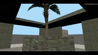 Aim Palm