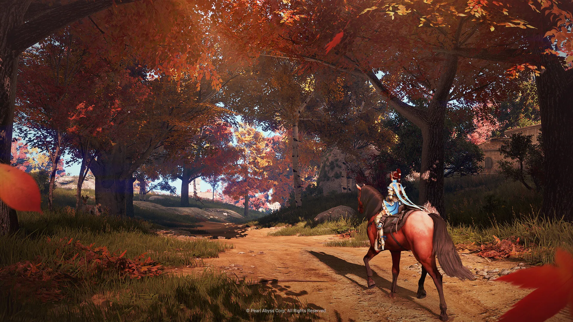 Black Desert: скриншот 5