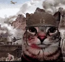 War Crimes Expanded