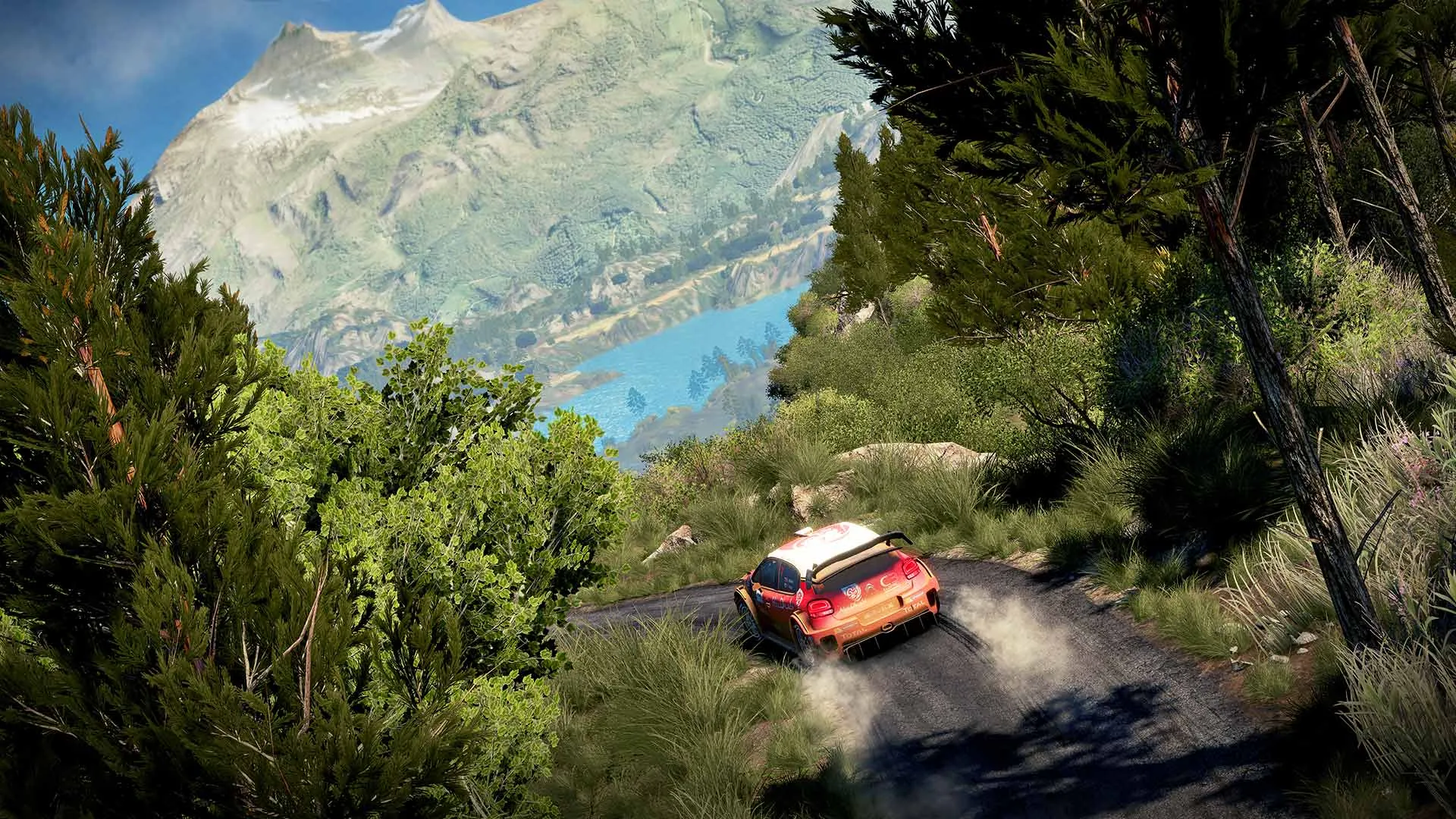 WRC 7 FIA World Rally Championship: скриншот 3