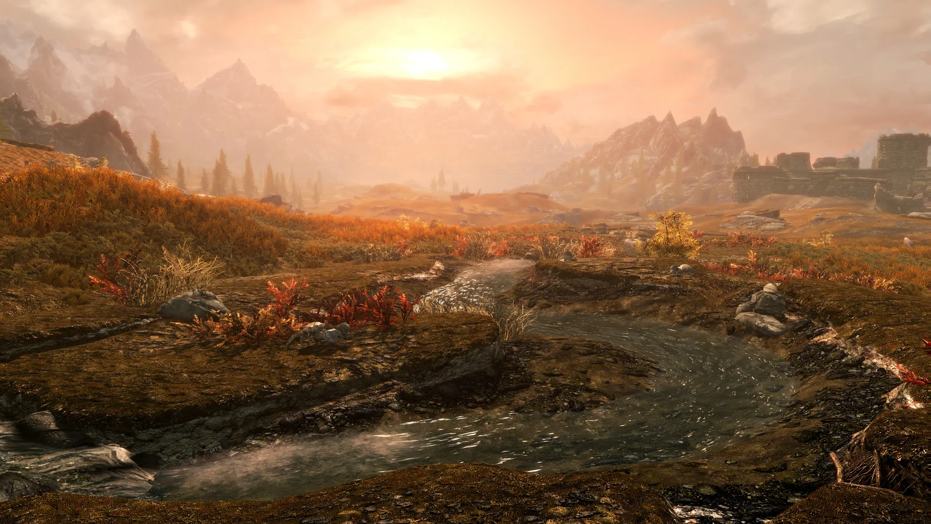 The Elder Scrolls V: Skyrim Special Edition: скриншот 2